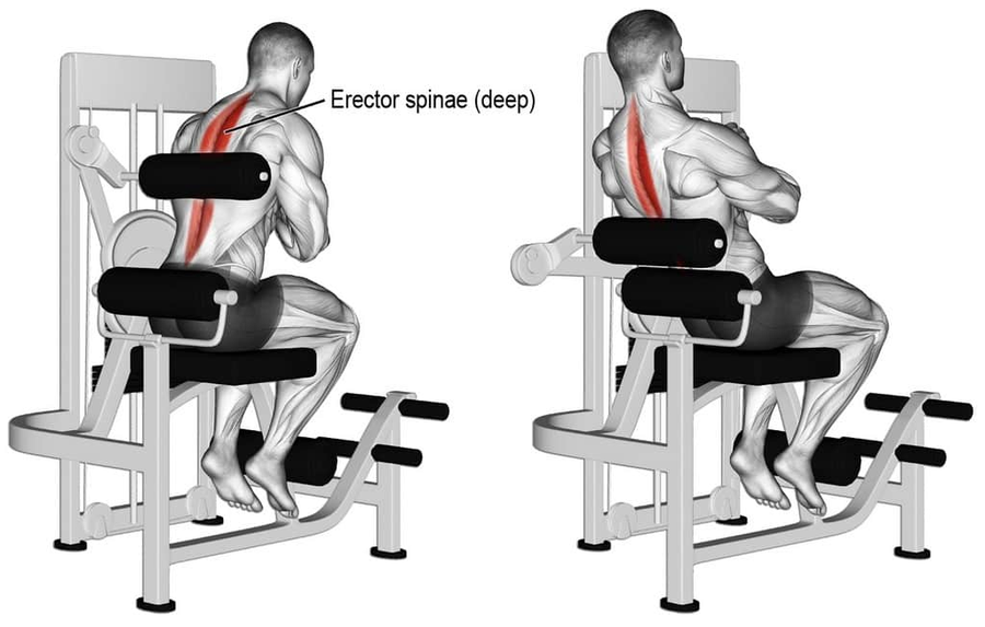 Back Extension
