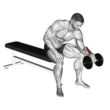 Barbell Wrist Curl