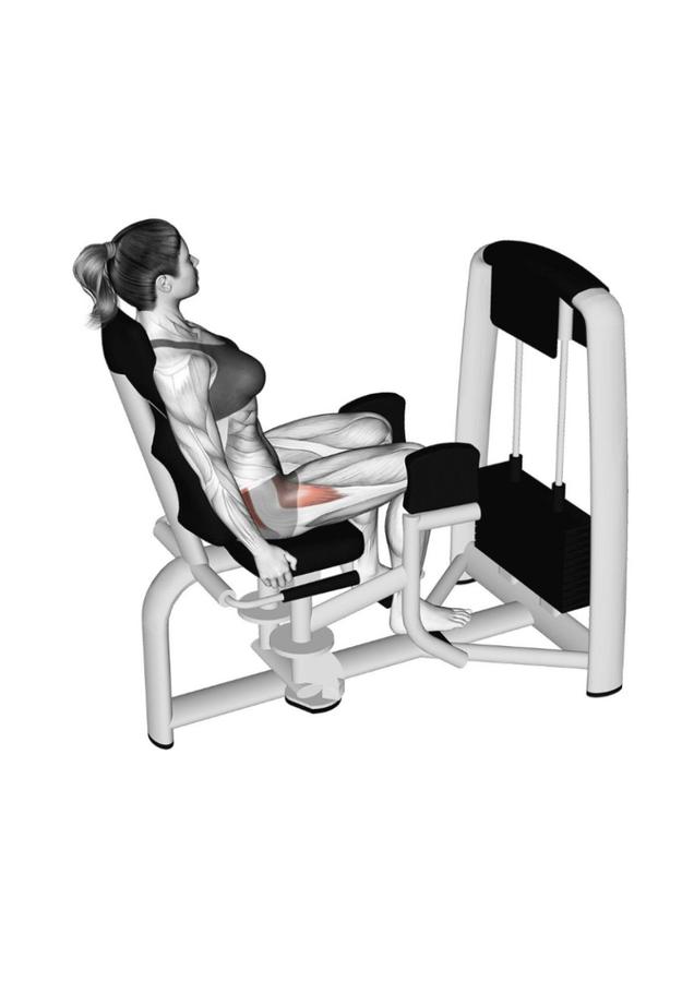Hip Abduction Machine
