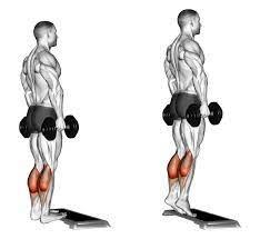 Standing Calf Raise