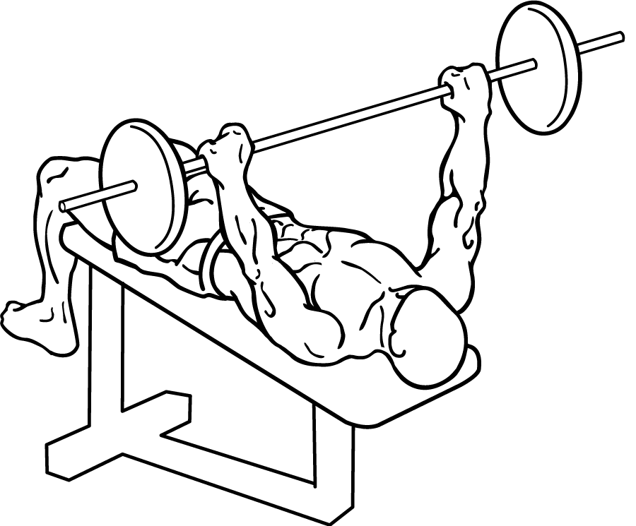 Decline Barbell Bench Press