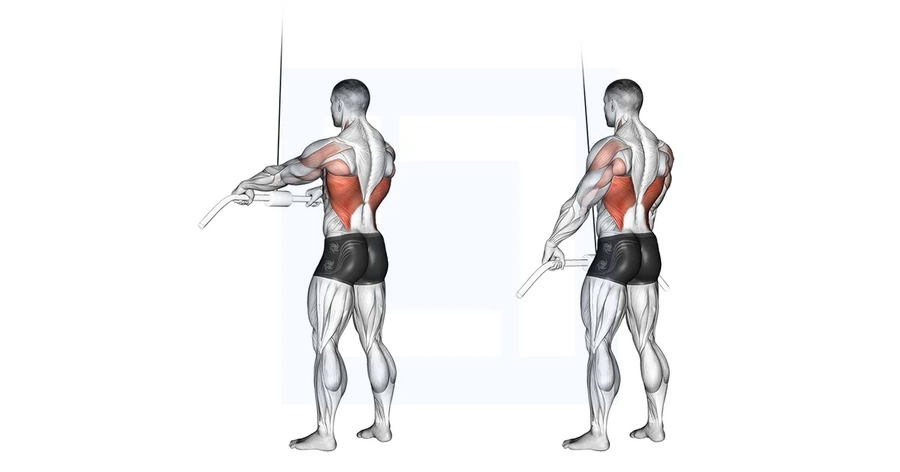 Straight-Arm Pulldown
