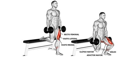 Bulgarian Split Squat
